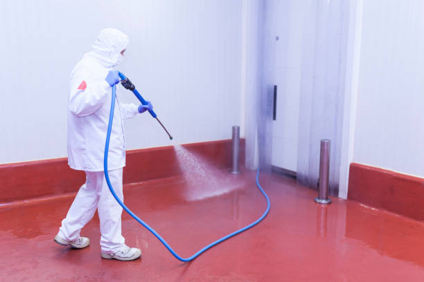 Best Paint Preparation  in Niagara University, NY